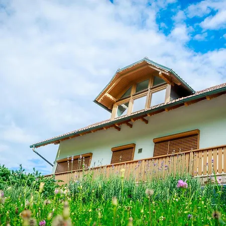 Apartment Villa Katarina *