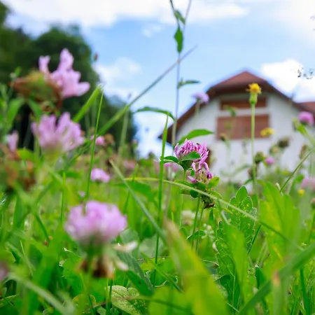 Katarina Apartman *