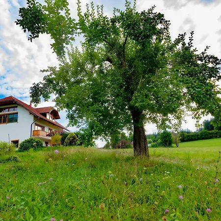 Villa Katarina Apartment *