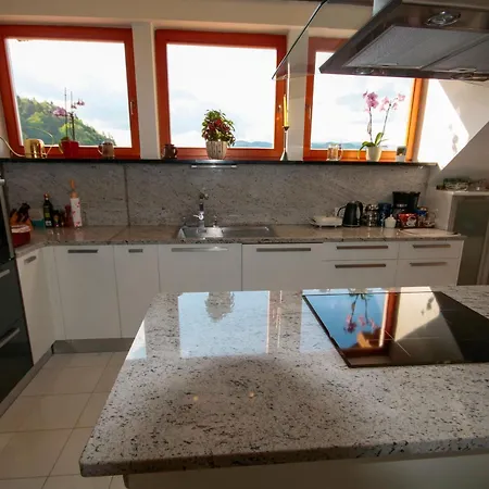 Villa Katarina Apartment Mokronog