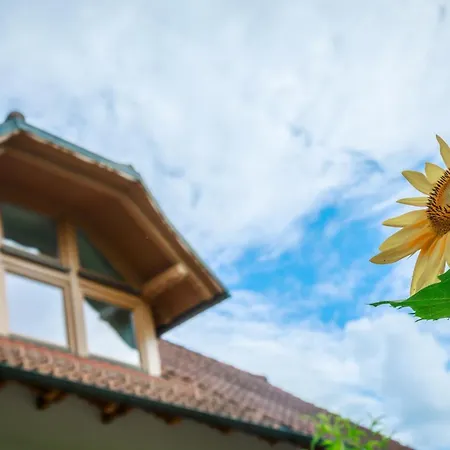 Katarina Apartman